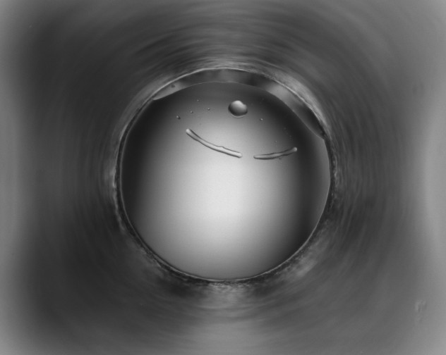 X0000090610954200707171414