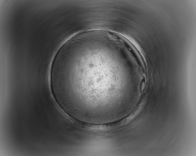 X0000090610957200707171414