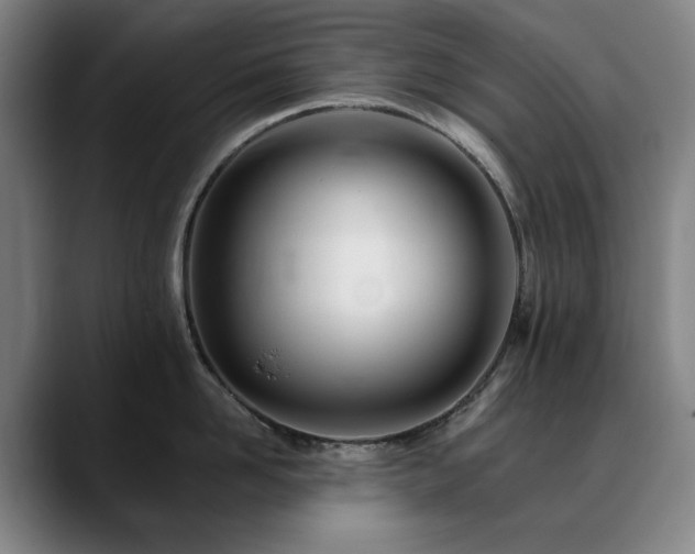 X0000090610958200707171414