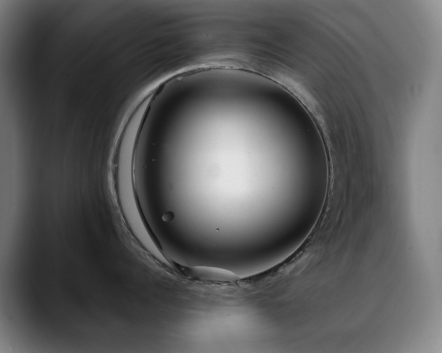 X0000090610960200707171414