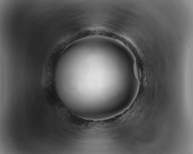 X0000090610967200707171414