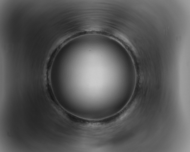 X0000090610978200707171414
