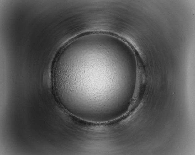 X0000090610982200707171414