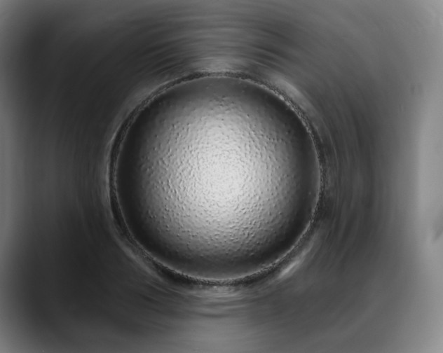 X0000090610986200707171413