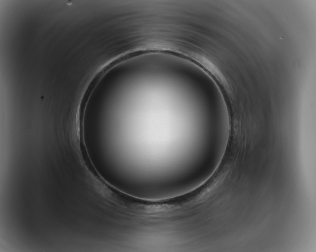 X0000090610988200707171413