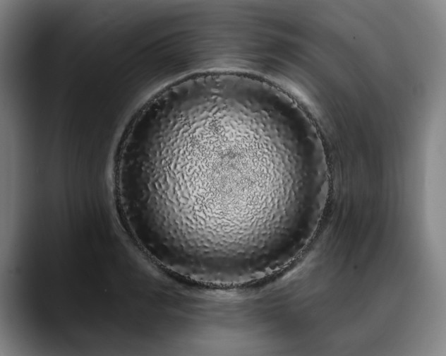 X0000090610990200707171413