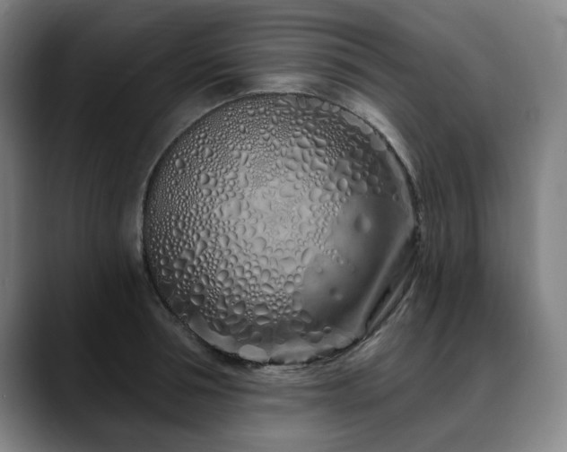 X0000090610994200707171413