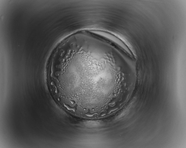 X0000090610998200707171413
