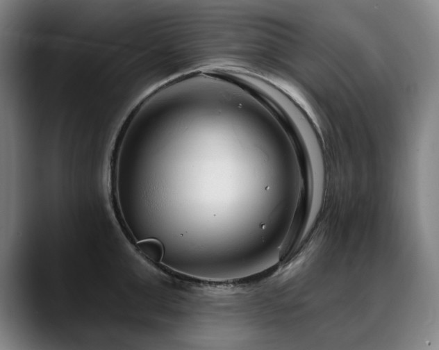 X0000090610999200707171413