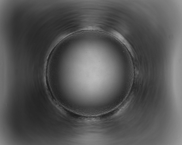 X0000090611002200707171413