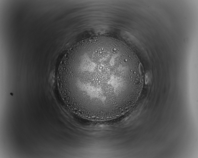 X0000090611011200707171413
