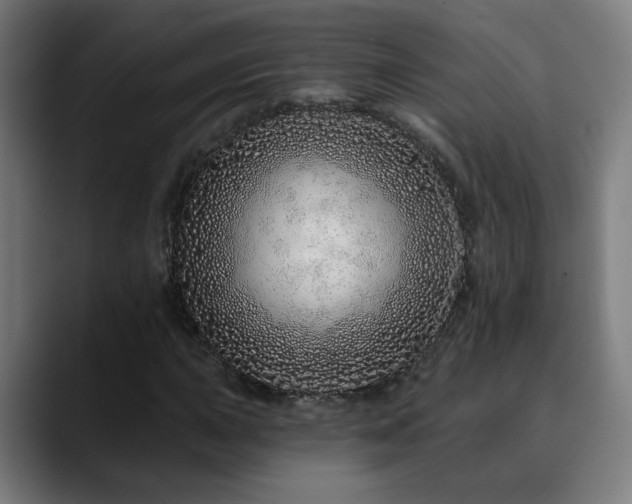 X0000090611015200707171413