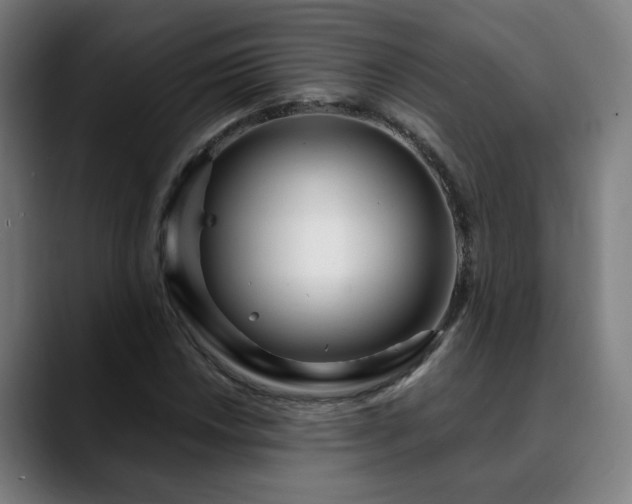 X0000090611018200707171413