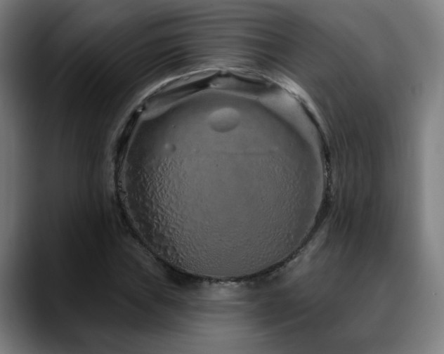 X0000090611019200707171413