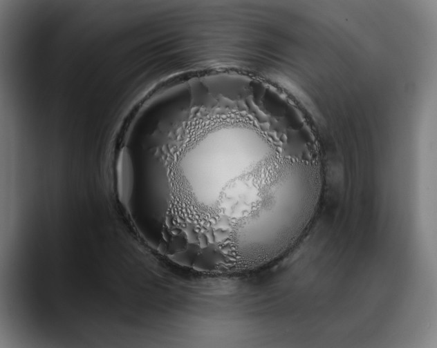 X0000090611023200707171413