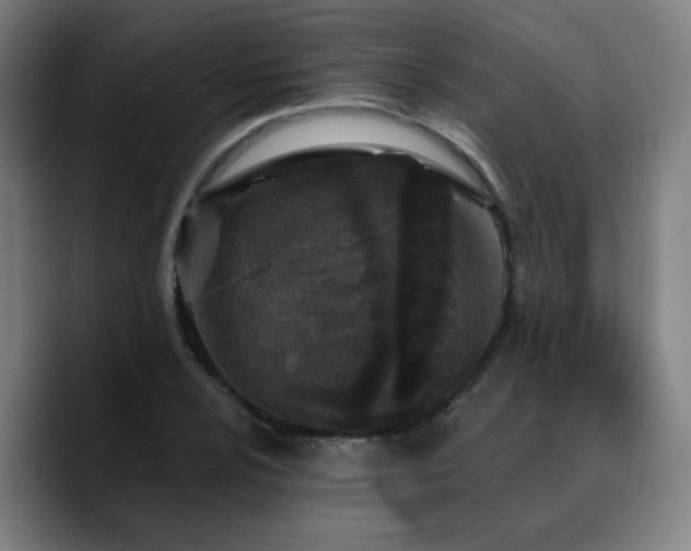 X0000090611024200707171413