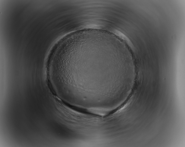 X0000090611027200707171413