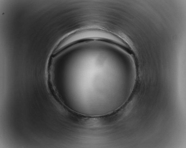 X0000090611028200707171413