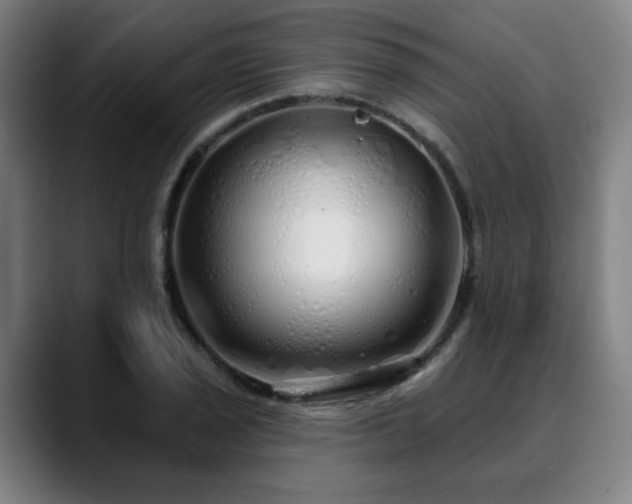 X0000090611029200707171413