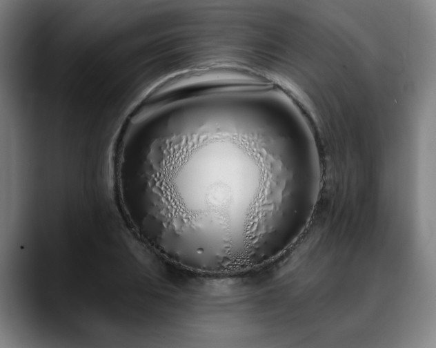 X0000090611031200707171413