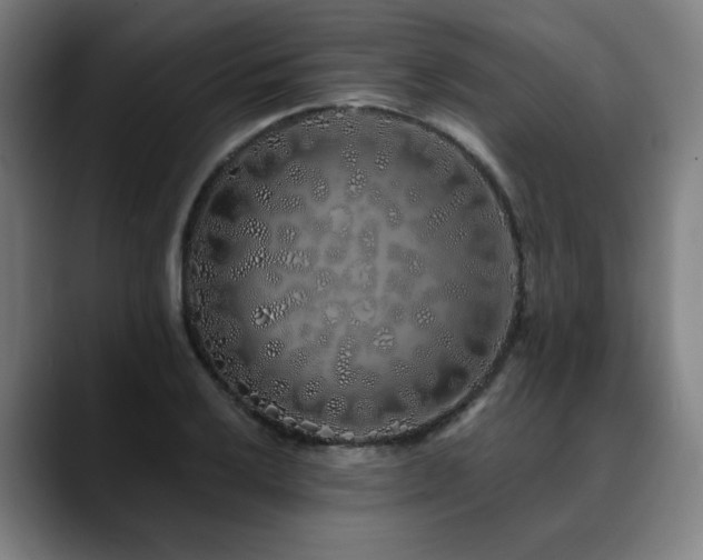 X0000090611032200707171413