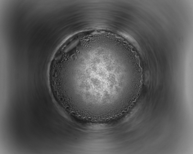X0000090611039200707171413