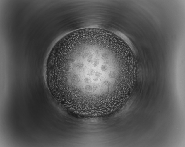 X0000090611051200707171413