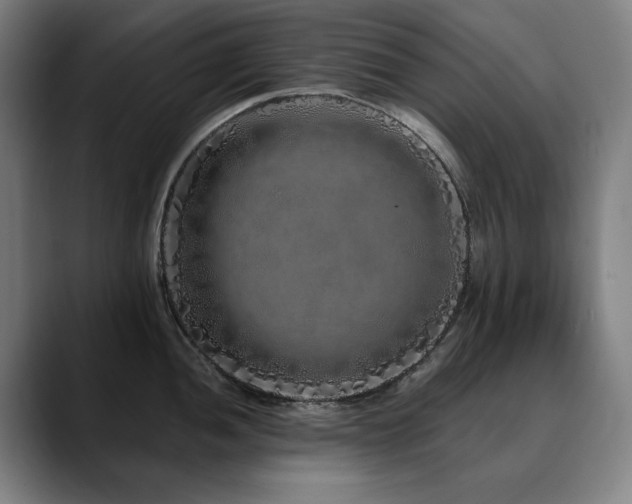 X0000090611052200707171413