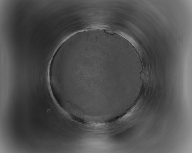 X0000090611055200707171413