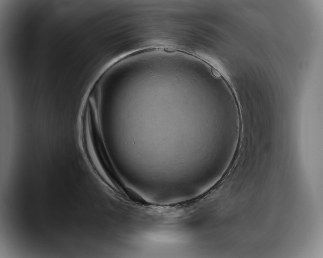 X0000090611056200707171413