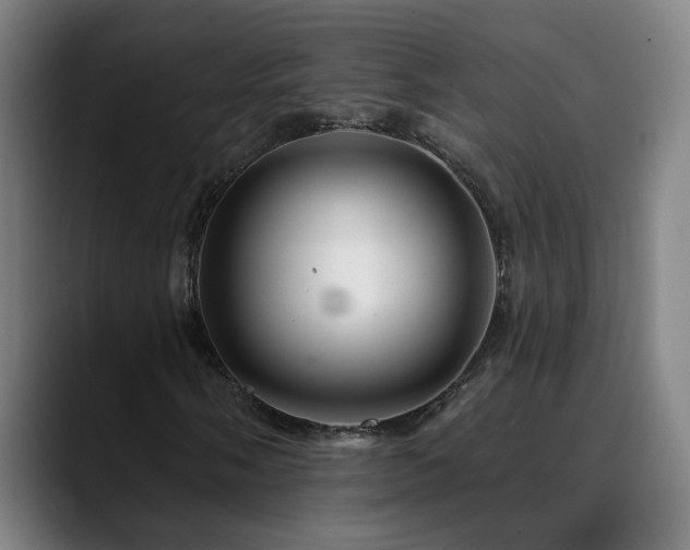 X0000090611058200707171413