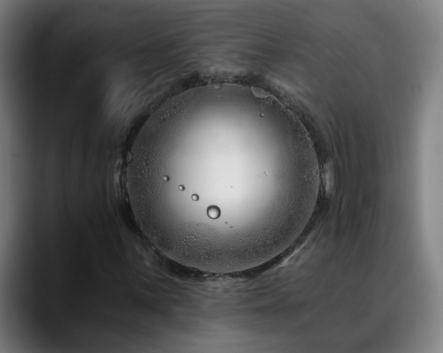 X0000090611059200707171413