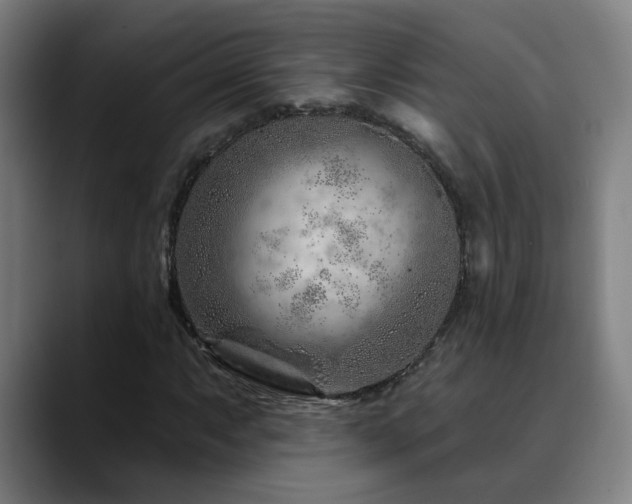 X0000090611063200707171413