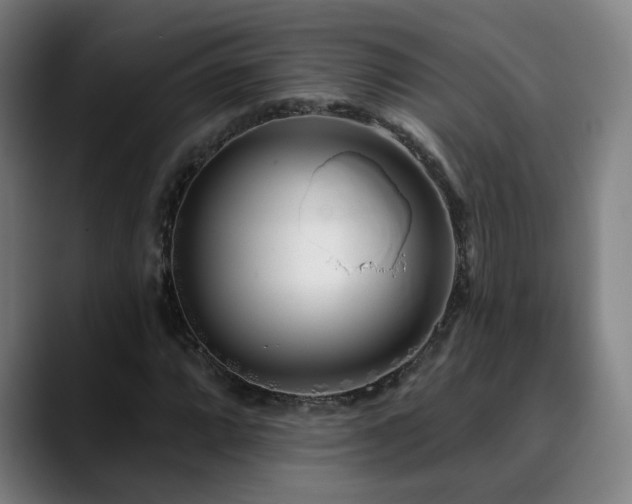 X0000090611064200707171413