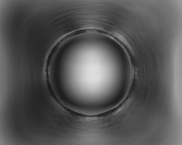 X0000090611068200707171413
