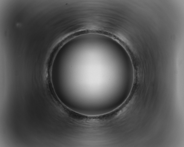 X0000090611070200707171413
