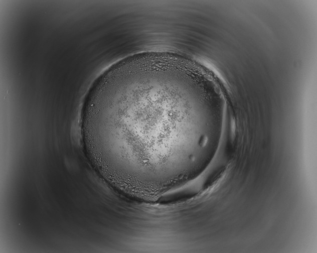 X0000090611071200707171413