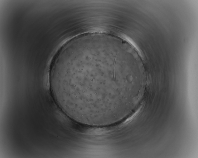 X0000090611075200707171412