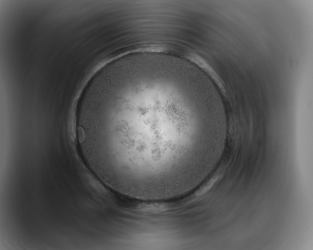 X0000090611083200707171412