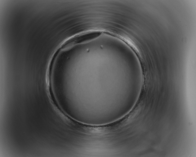 X0000090611084200707171412
