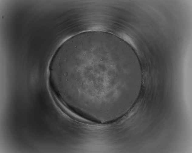 X0000090611087200707171412