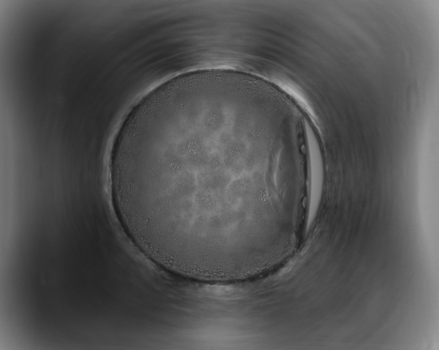 X0000090611088200707171412