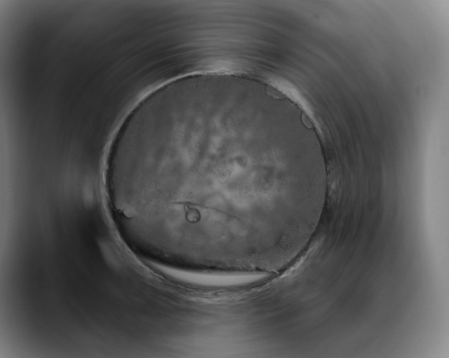 X0000090611091200707171412
