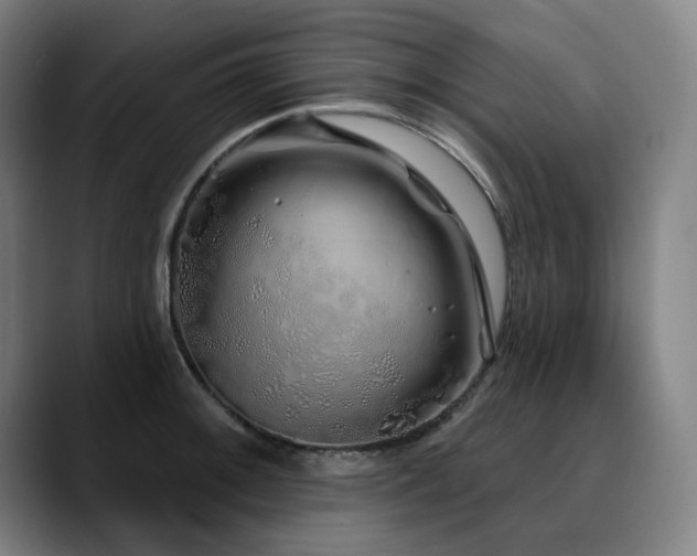 X0000090611092200707171412