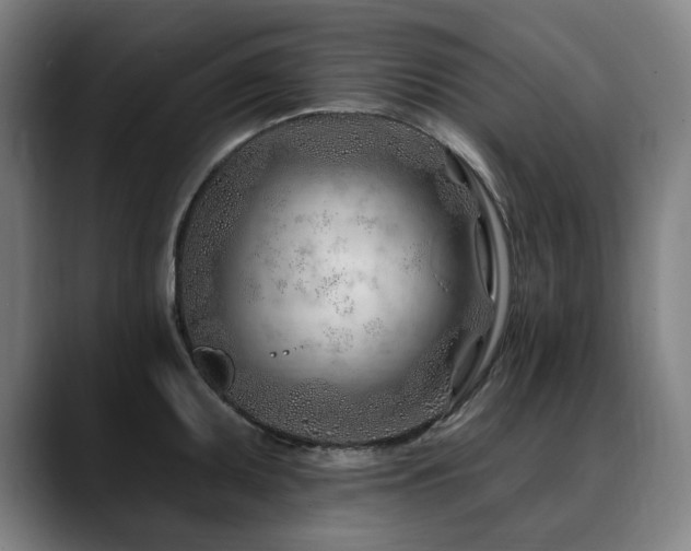 X0000090611095200707171412
