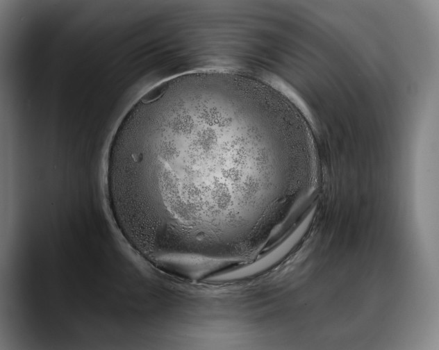 X0000090611099200707171412