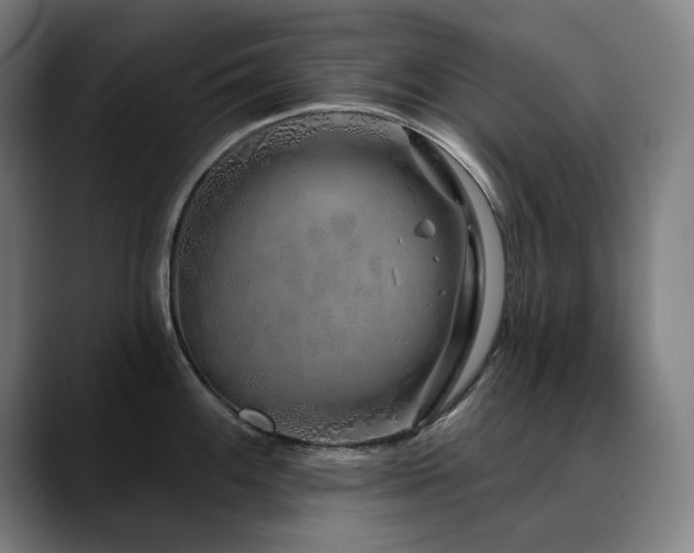 X0000090611100200707171412