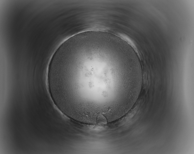 X0000090611103200707171412