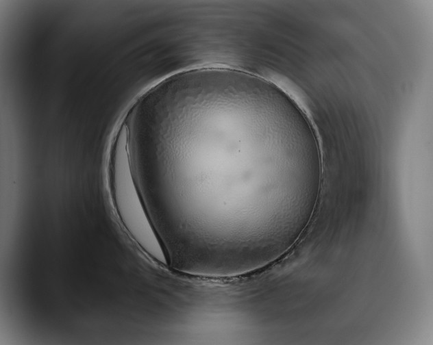 X0000090611104200707171412