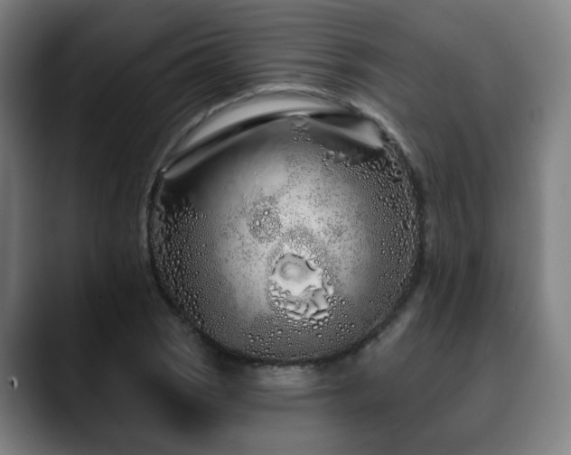 X0000090611121200707171412